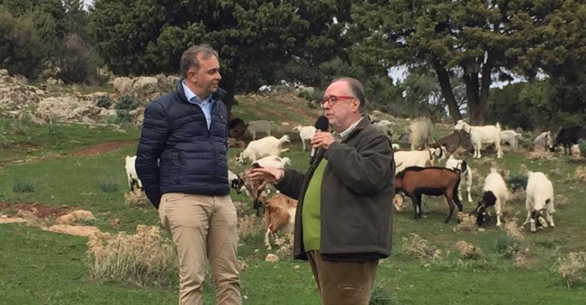 Filiera italiana del latte caprino di Alta Qualità